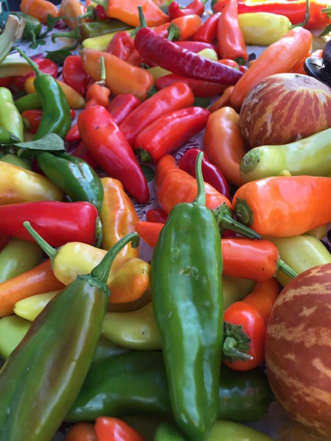 14457365_1130918756955856_3187729102798588357_n