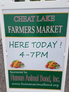 36199918_10157481155339128_1068211516735488000_n